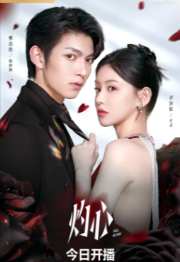 国产剧《灼心》[2025年][爱情][夸克网盘][中文字幕]-抱布贸丝