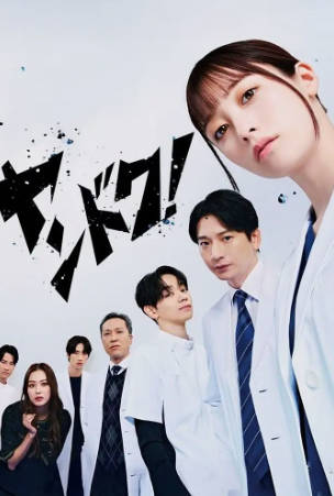 日剧《不良医生》[20266年][夸克网盘][中文字幕]-抱布贸丝