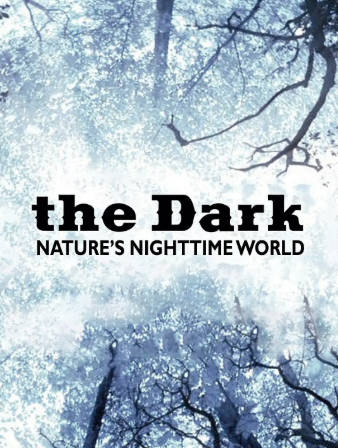 英纪录片《黑暗中的自然界》[2012年][夸克网盘][中文字幕]-抱布贸丝