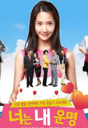 韩剧《你是我的命运》[2008年][夸克网盘][中文字幕]-抱布贸丝