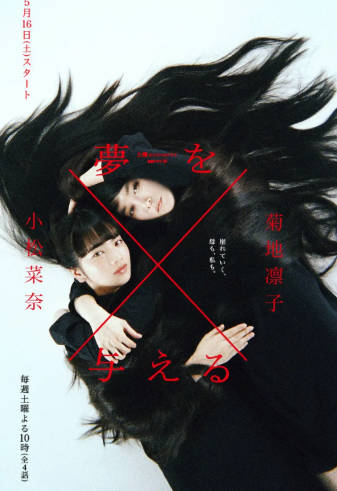 日剧《造梦女孩》[2015年][爱情][夸克网盘][中文字幕]-抱布贸丝