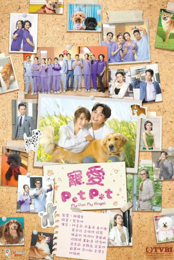 港剧《宠爱Pet Pet》[2023年][喜剧爱情][夸克网盘][中文字幕]-抱布贸丝