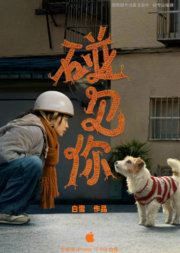 国产电影《碰见你》[2026年][喜剧短片][夸克网盘][中文字幕]-抱布贸丝