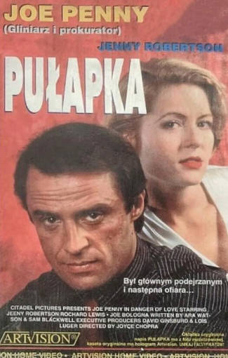 美国电影《杀妻奇案》[1992年][惊悚][夸克网盘][中文字幕]-抱布贸丝