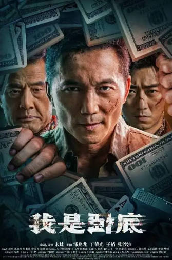 国产电影《我是卧底》[2026年][动作犯罪][夸克网盘][中文字幕]-抱布贸丝