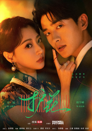 国产剧《护花》[2025年][爱情短片][夸克网盘][中文字幕]-抱布贸丝