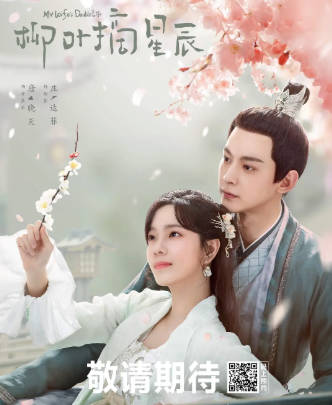 国产剧《柳叶摘星辰》[2024年][剧情古装][夸克网盘]-抱布贸丝