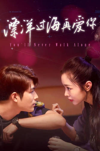 国产剧《漂洋过海再爱你》[2023年][剧情爱情][夸克网盘]-抱布贸丝