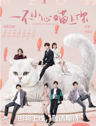 国产剧《一不小心喵上你》[2022年][喜剧爱情][夸克网盘]-抱布贸丝