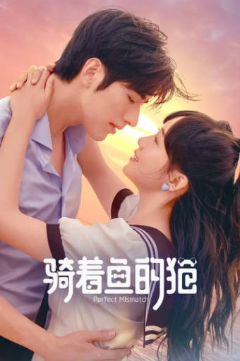 国产剧《骑着鱼的猫》[2023年][爱情][夸克网盘]-抱布贸丝