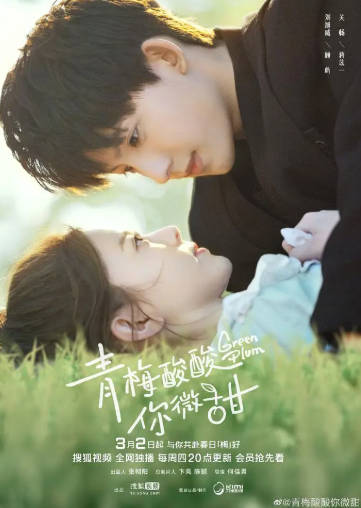 国产剧《青梅酸酸你微甜》[2023年][剧情爱情][夸克网盘]-抱布贸丝