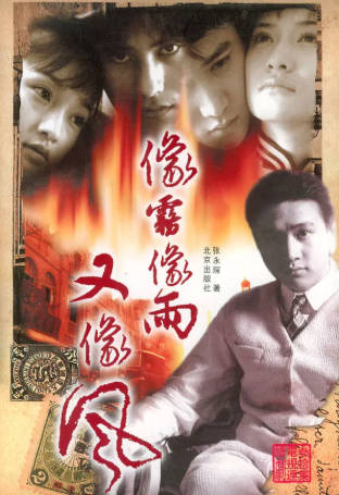 国产剧《像雾像雨又像风》[2001年][剧情爱情][夸克网盘]-抱布贸丝