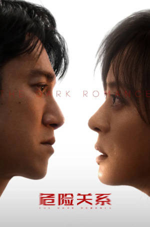 国产剧《危险关系》[2026年][夸克网盘]主演: 孙俪/吴慷仁-抱布贸丝