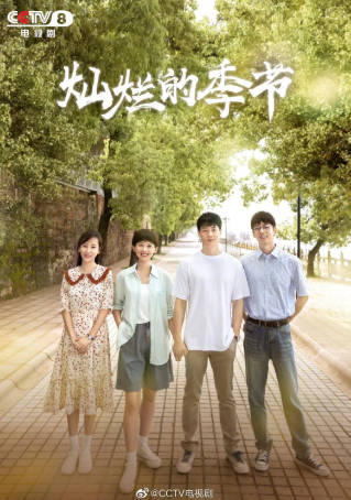 国产剧《灿烂的季节》[2022年][夸克网盘]主演: 王放/马藜-抱布贸丝