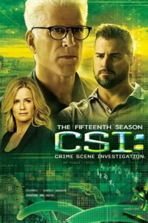 美剧《犯罪现场调查》[共15季][2000-2014年][悬疑犯罪][夸克网盘][中文字幕]-抱布贸丝