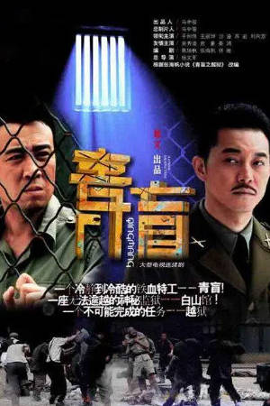 国产剧《青盲》[2012年][悬疑][夸克网盘]主演: 沙溢/于和伟-抱布贸丝