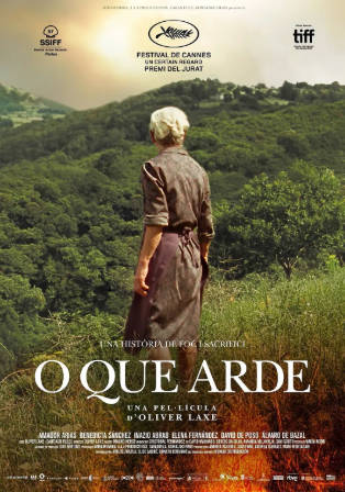 西班牙电影《大火将至》[2019年][剧情犯罪][夸克网盘][中文字幕]-抱布贸丝