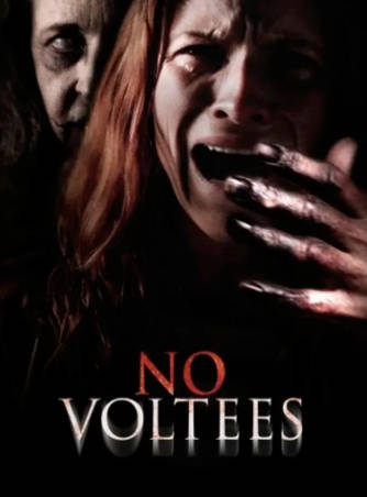 墨西哥电影《旧日阴影》[2024年][恐怖][夸克网盘][中文字幕]-抱布贸丝