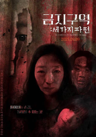 韩国电影《禁区：三个碎片》[2025年][惊悚恐怖][夸克网盘][中文字幕]-抱布贸丝