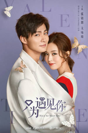 国产剧《只为遇见你》[2019年][剧情爱情][夸克网盘]-抱布贸丝
