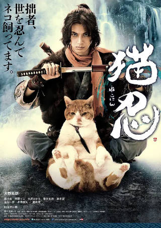 日剧《猫忍》[2017年][夸克网盘][中文字幕]-抱布贸丝