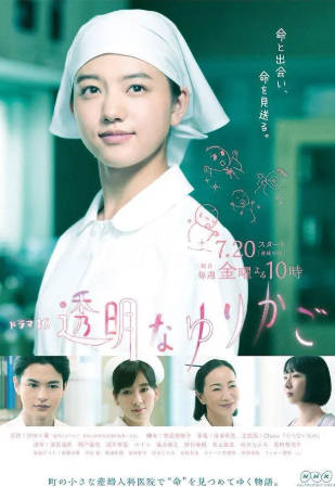 日剧《透明的摇篮》[2018年][夸克网盘][中文字幕]-抱布贸丝