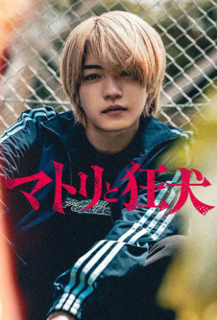 日剧《缉毒警与疯犬》[2026年][悬疑犯罪][夸克网盘][中文字幕]-抱布贸丝