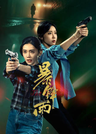 国产剧《暴锋雨》[2026年][夸克网盘]-抱布贸丝