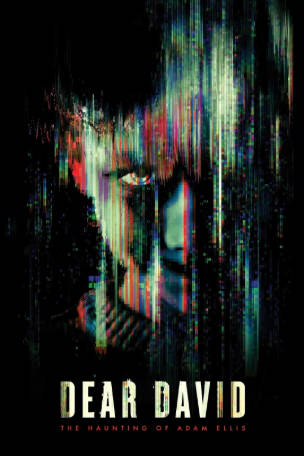 美国电影《亲爱的大卫》[2023年][惊悚恐怖][夸克网盘][中文字幕]-抱布贸丝