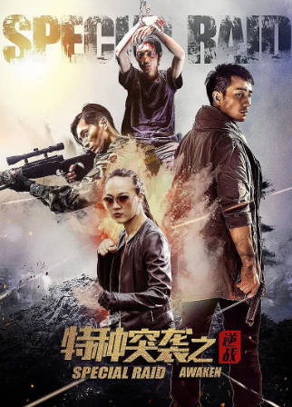 国产电影《特种突袭之逆战》[2024年][夸克网盘]-抱布贸丝