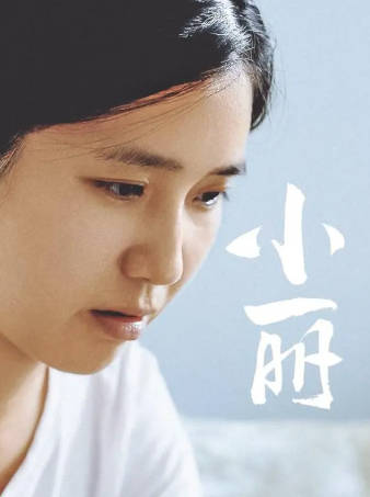 国产电影《小丽》[2025年][夸克网盘]-抱布贸丝