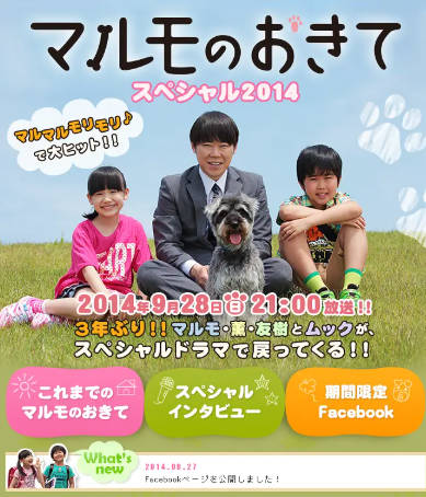 日本电影《高护木的规矩》附电视剧[2014年][夸克网盘][中文字幕]-抱布贸丝