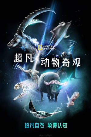 美国纪录片《超凡动物奇观》[共2季][2022-2023年][夸克网盘][中文字幕]-抱布贸丝