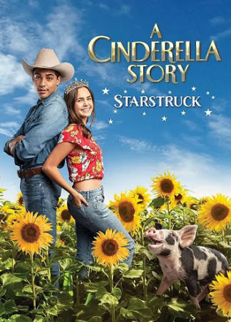 美国电影《灰姑娘的故事》[共6部][2004-2021年][爱情][夸克网盘][中文字幕]-抱布贸丝