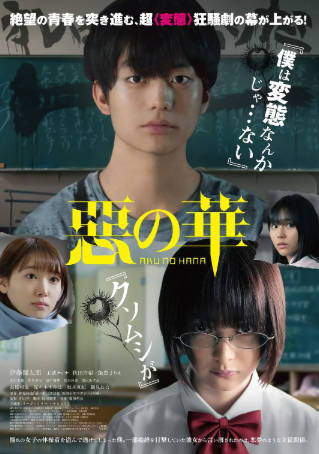 日本电影《恶之华》[2019年][爱情悬疑][夸克网盘][中文字幕]附动画版-抱布贸丝