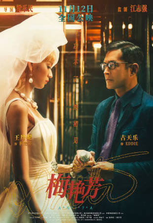 香港电影《梅艳芳》[2021年][音乐传记][夸克网盘][中文字幕]-抱布贸丝