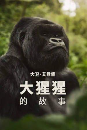 英国纪录片《大卫·爱登堡：大猩猩的故事》[2026年][夸克网盘][中文字幕]-抱布贸丝影视资源网