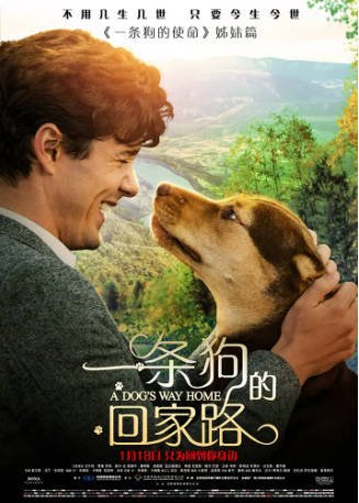 美国电影《一条狗的回家路》[2019年][冒险][夸克网盘][中文字幕]-抱布贸丝影视资源网