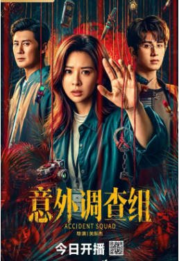 国产剧《意外调查组》[2026年][悬疑犯罪][夸克网盘][中文字幕]-抱布贸丝影视资源网