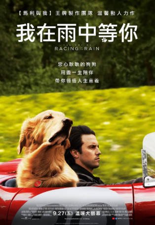 美国电影《我在雨中等你》[2019年][喜剧爱情][夸克网盘][中文字幕]-抱布贸丝影视资源网