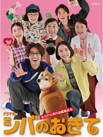 日剧《柴犬的规矩～我们这群狗痴编辑部》[2025年][夸克网盘][中文字幕]-抱布贸丝影视资源网
