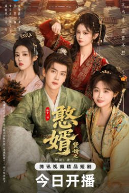 国产剧《贤婿之憨婿》[共2季][2025-2026年][喜剧爱情][夸克网盘][中文字幕]又名: 贤婿-抱布贸丝影视资源网