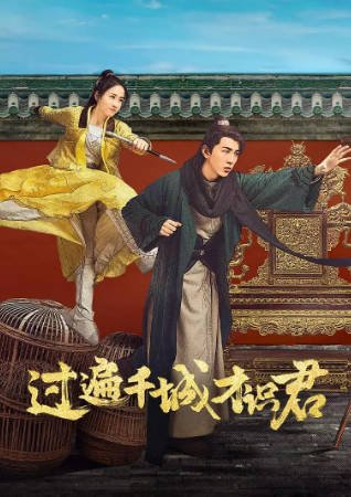 国产剧《过遍千城才识君》[2026年][喜剧古装][夸克网盘][中文字幕]-抱布贸丝影视资源网