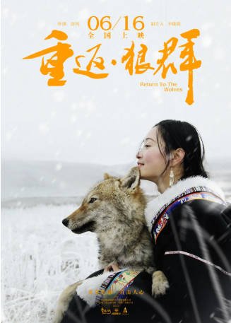 中国纪录片《重返·狼群》[共2部][2017-2021年][夸克网盘]-抱布贸丝影视资源网