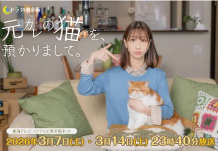 日剧《我收留了前男友的猫》[2026年][剧情爱情][夸克网盘][中文字幕]-抱布贸丝影视资源网