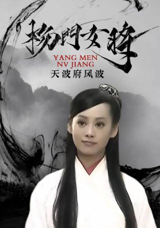 国产电影《杨门女将之天波府风波》[2001年][历史武侠][夸克网盘]-抱布贸丝影视资源网