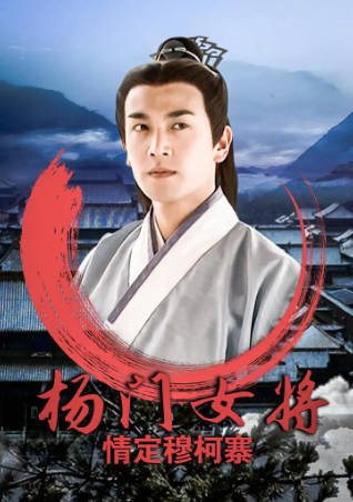 国产电影《杨门女将之情定穆柯寨》[2001年][历史武侠][夸克网盘]-抱布贸丝影视资源网