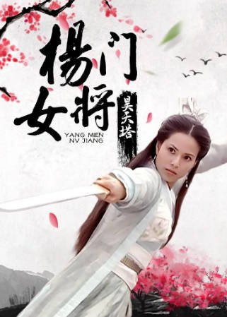 国产电影《杨门女将之昊天塔》[2001年][武侠古装][夸克网盘][中文字幕]-抱布贸丝影视资源网