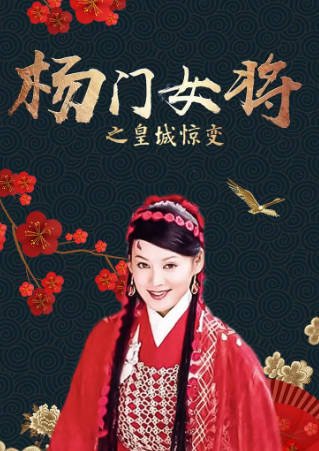 国产电影《杨门女将之皇城惊变》[2001年][历史武侠][夸克网盘][中文字幕]-抱布贸丝影视资源网