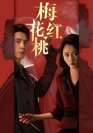 国产剧《梅花红桃》[2023年][剧情悬疑][夸克网盘]-抱布贸丝影视资源网